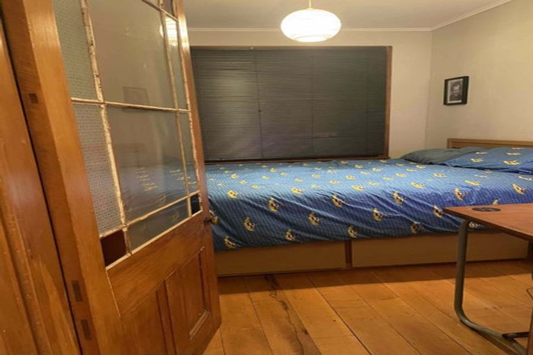 Photo of property in 55 Hankey Street, Mount Cook, Wellington, 6011