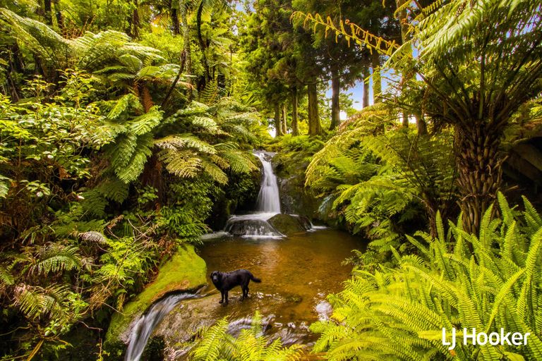 Photo of property in 115 Ngatitangata Road, Waihi, 3681