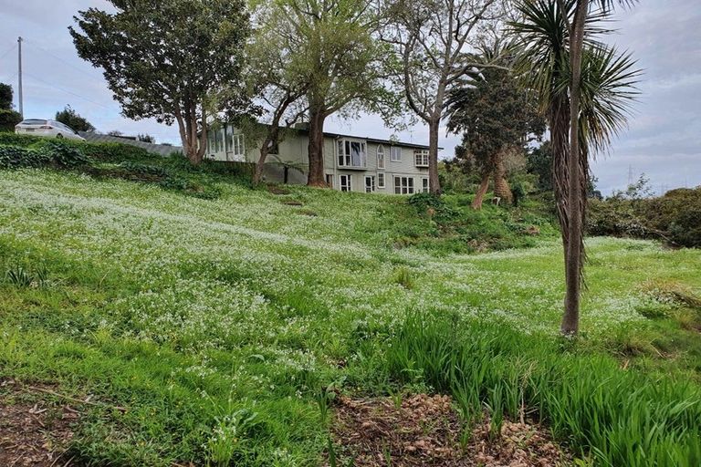 Photo of property in 12a Harmony Avenue, Otahuhu, Auckland, 1062