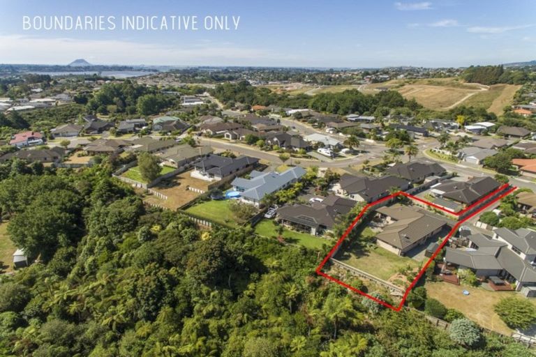 Photo of property in 176 Hollister Lane, Ohauiti, Tauranga, 3112