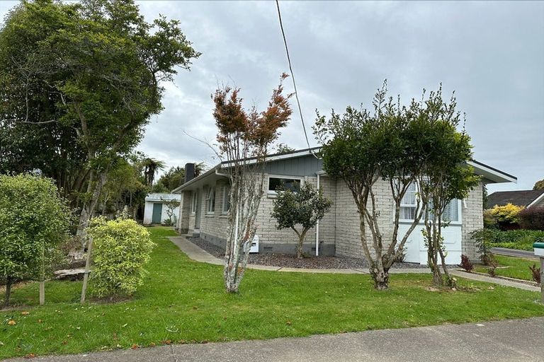 Photo of property in 59 Macarthur Street, Levin, 5510