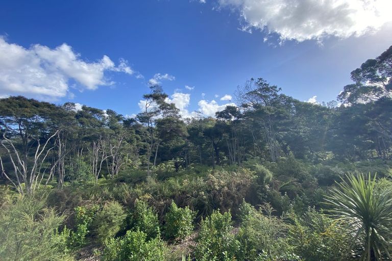 Photo of property in 35 Kaimai Avenue, Massey, Auckland, 0614