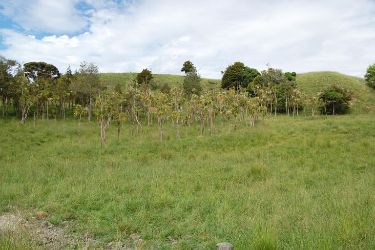 Photo of property in 135 Phillips Road, Kaiwaka, 0573