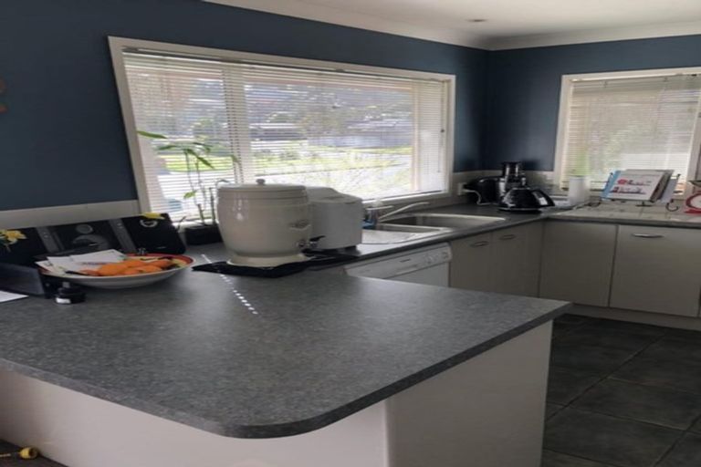 Photo of property in 12 Max Short Drive, Pukekohe, 2120