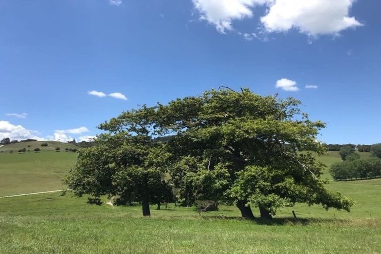 Photo of property in 182 Morrison Road, Arapohue, Dargaville, 0374