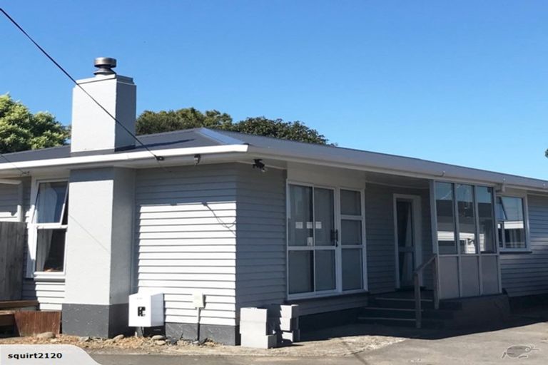 Photo of property in 163a Pembroke Street, Westown, New Plymouth, 4310