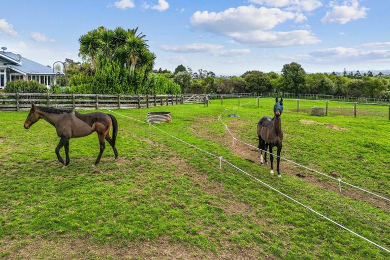 Photo of property in 42 Boyd Road, Clarks Beach, Pukekohe, 2679