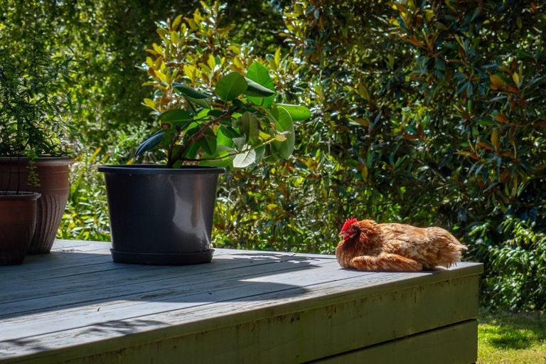 Photo of property in 202 Ngamotu Road, Rerewhakaaitu, Rotorua, 3073