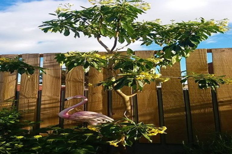 Photo of property in 6 Kerei Street, Motueka, 7120