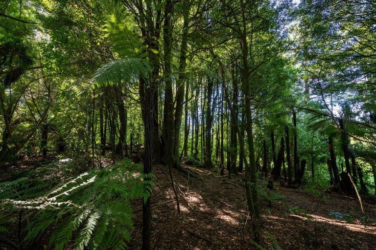 Photo of property in 1259b State Highway 5, Hamurana, Rotorua, 3072