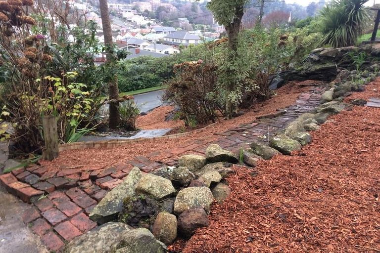 Photo of property in 38 Buccleugh Street, North East Valley, Dunedin, 9010