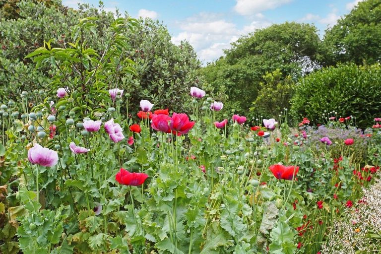 Photo of property in 26 Ernest George Drive, Karaka, Papakura, 2580