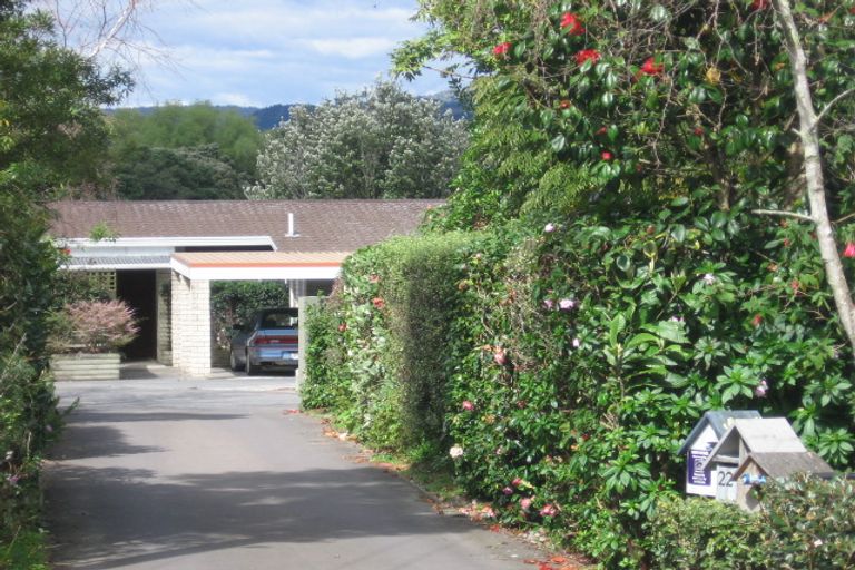 Photo of property in 22 Scantlebury Street, Tauranga South, Tauranga, 3112