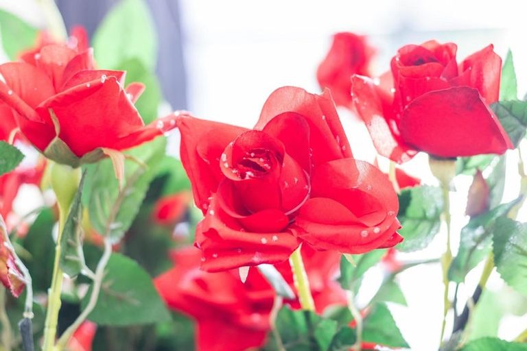 Photo of property in 2/19 Goldsmith Street, Leamington, Cambridge, 3432