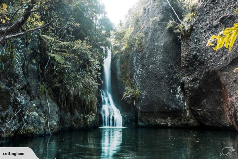 Photo of property in 128 Lone Kauri Road, Karekare, Auckland, 0772