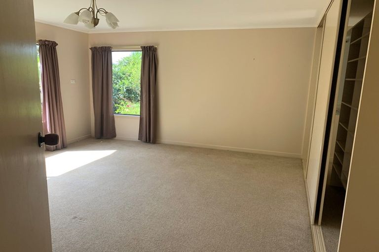 Photo of property in Kaiwaka-mangawhai Road, Mangawhai, 0573
