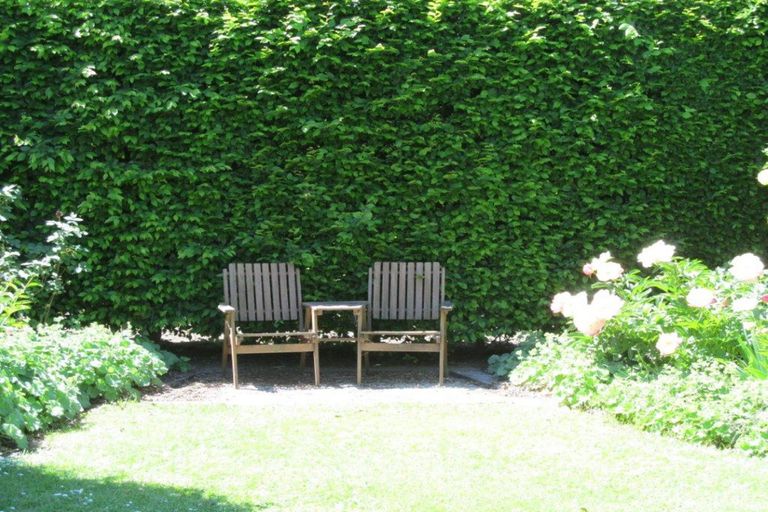 Photo of property in 569 Dunstan Road, Alexandra, 9391