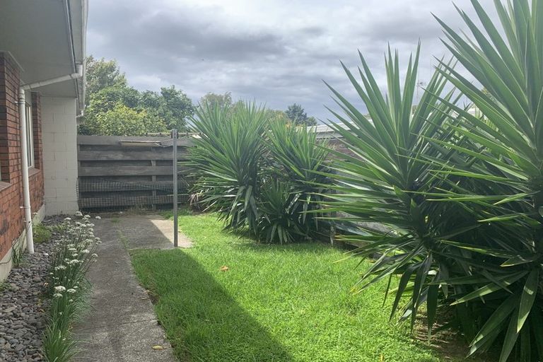 Photo of property in 1/59 Eighth Avenue, Tauranga, 3110