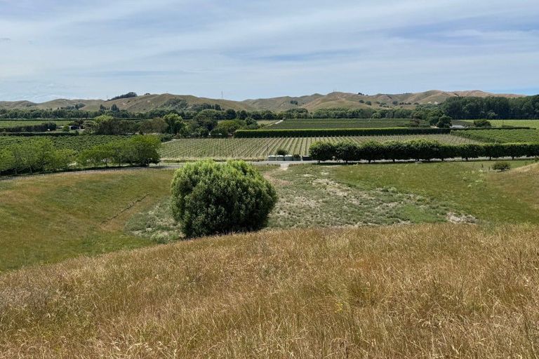 Photo of property in 165 Breckenridge Road, Puketapu, Napier, 4183
