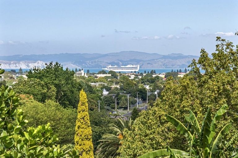 Photo of property in 6 Adams Road, Whataupoko, Gisborne, 4010