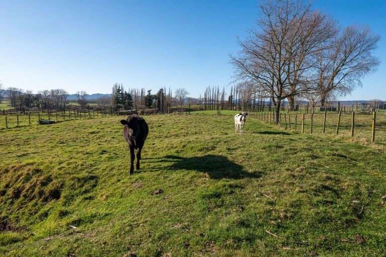 Photo of property in 29 Halcrow Road, Reporoa, 3081