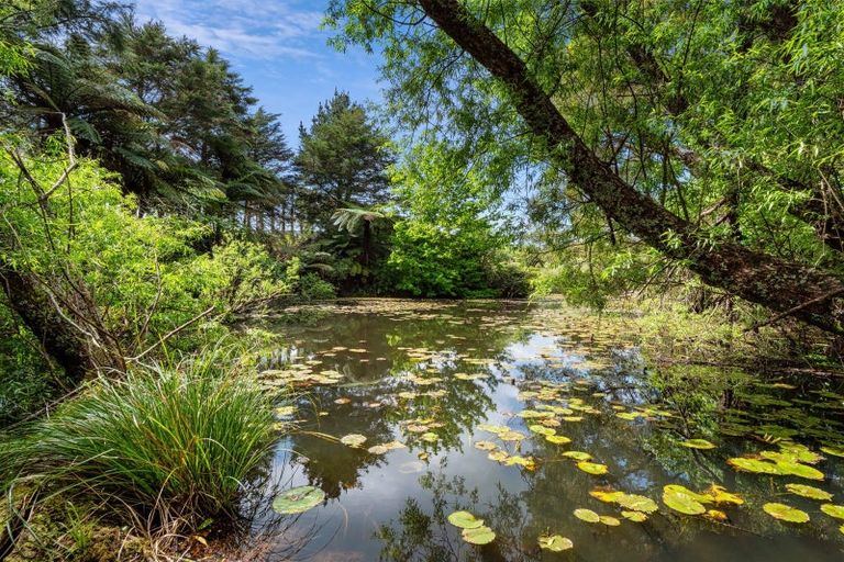 Photo of property in 124 Kauri Point Road, Tahawai, Katikati, 3170