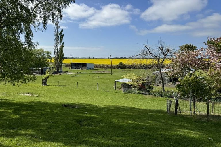 Photo of property in 263 Molloys Road, Waimate, 7980