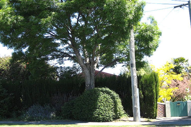 Photo of property in 188 Scott Street, Redwoodtown, Blenheim, 7201