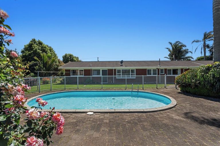 Photo of property in 641 Thornton Road, Thornton, Whakatane, 3194