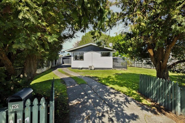 Photo of property in 101 Collins Road, Melville, Hamilton, 3206