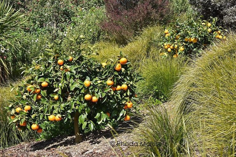 Photo of property in 6 Skelton Crescent, Paparoa, 0571