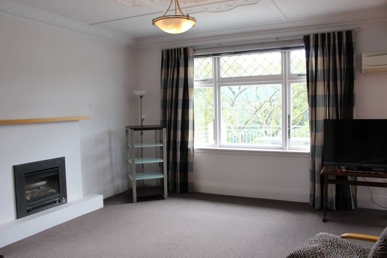 Photo of property in 113 Signal Hill Road, Opoho, Dunedin, 9010