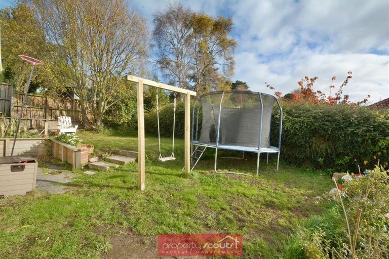 Photo of property in 36 College Street, Caversham, Dunedin, 9012