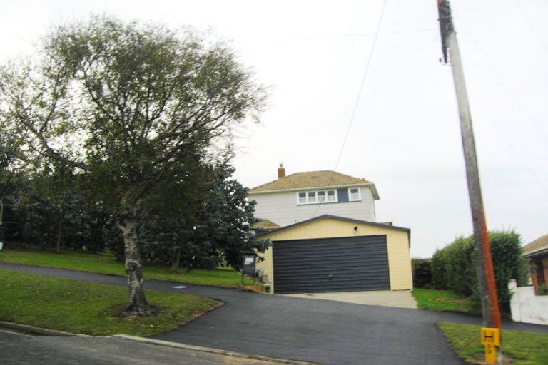 Photo of property in 101 Riselaw Road, Calton Hill, Dunedin, 9012