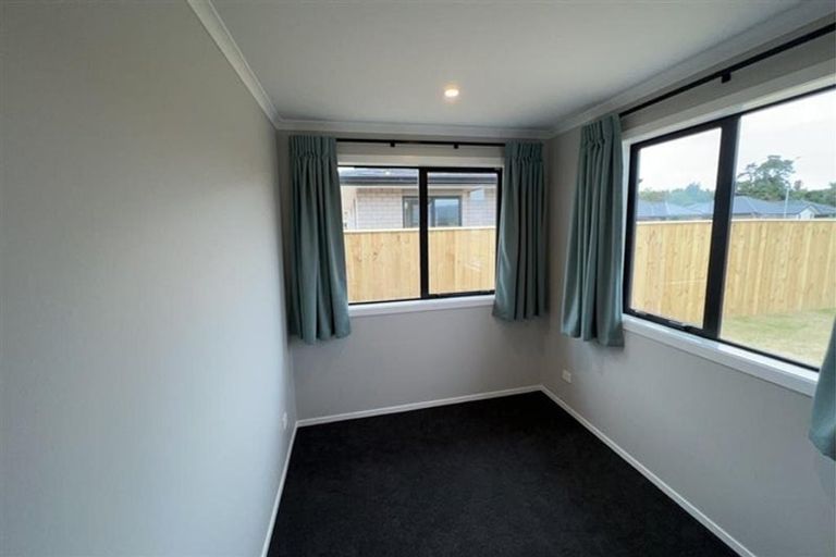 Photo of property in 111 Hinemoa Street, Levin, 5510