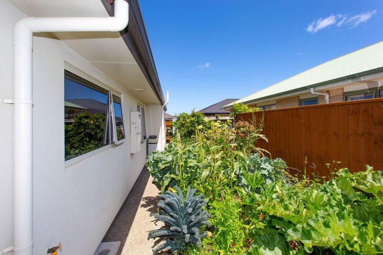 Photo of property in 21 Springvale Road, Springvale, Whanganui, 4501
