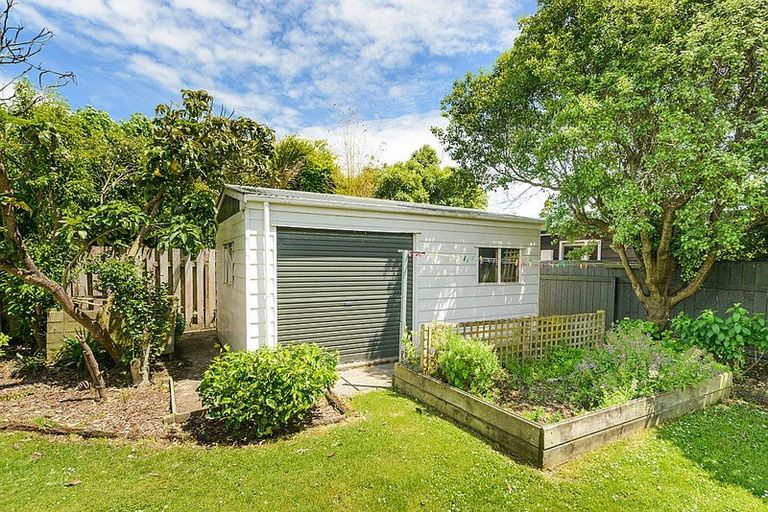 Photo of property in 65 Buick Crescent, Awapuni, Palmerston North, 4412