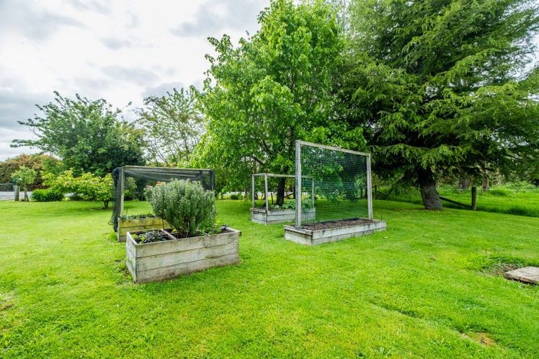 Photo of property in 278 Talbot Street, Geraldine, 7930