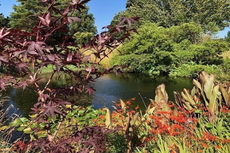 Photo of property in 11 Symonds Street, Waihi, 3610