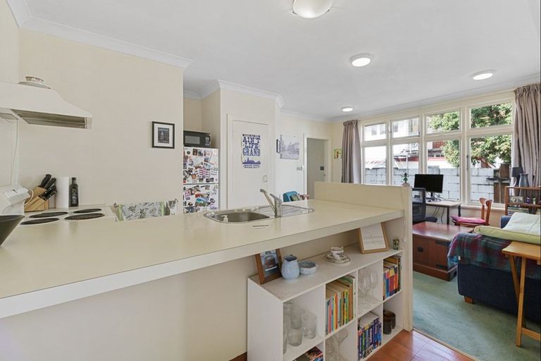 Photo of property in 9 Palmer Street, Aro Valley, Wellington, 6011