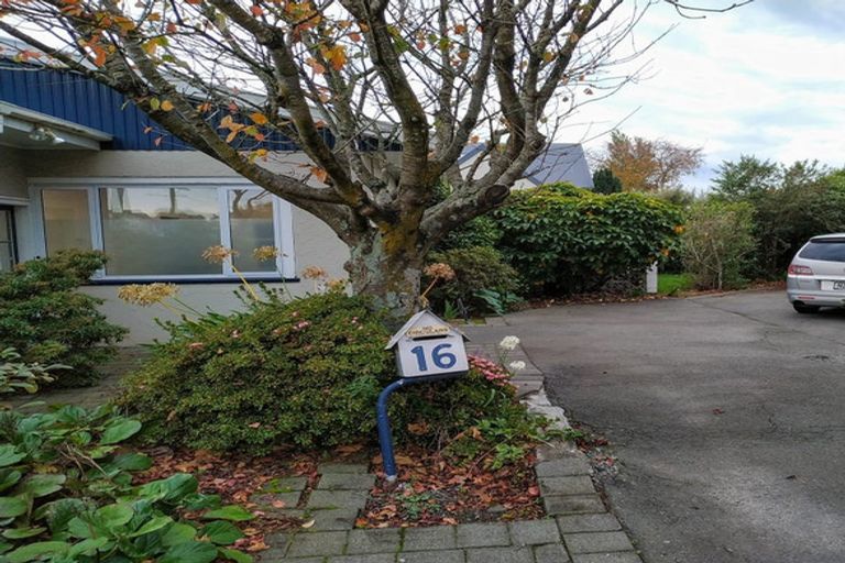 Photo of property in 16 Gerald Street, Lincoln, 7608