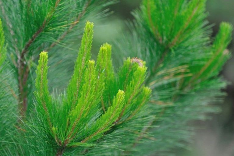 Photo of property in 393 Thongcaster Road, Eyrewell, West Eyreton, 7495