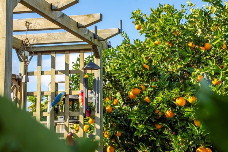 Photo of property in 63 Kane Road, Papamoa Beach, Papamoa, 3118