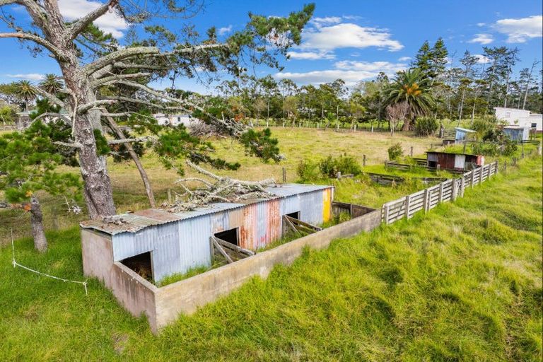 Photo of property in 1091 Pouto Road, Te Kopuru, 0391