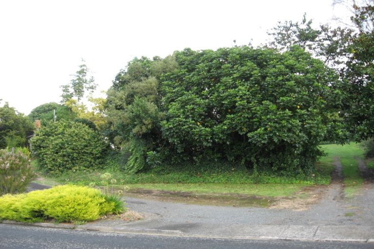 Photo of property in 39 Prospect Avenue, Tirau, 3410