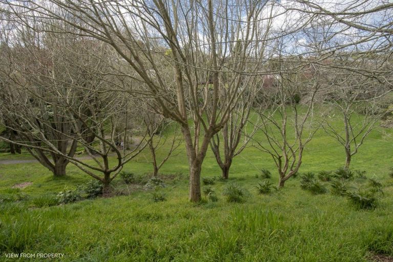 Photo of property in 22 Honeysuckle Lane, Ohauiti, Tauranga, 3112