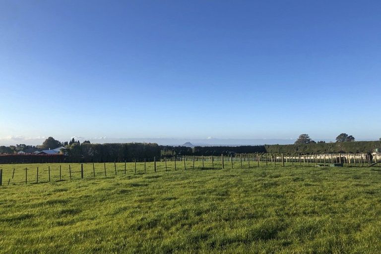 Photo of property in 889a Oropi Road, Oropi, Tauranga, 3173