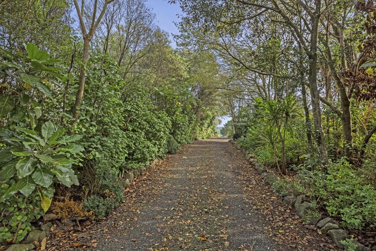 Photo of property in 121 Maungatawhiri Road, Raglan, 3295