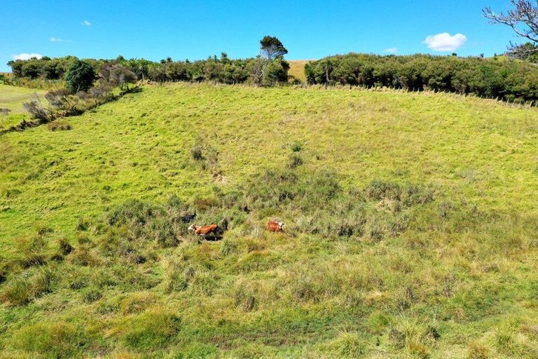 Photo of property in 119a Heatherlea Drive, Ruakaka, 0171