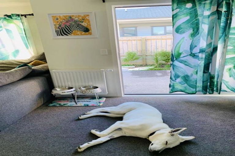 Photo of property in 3 Henrietta Maxwell Grove, Wainuiomata, Lower Hutt, 5014